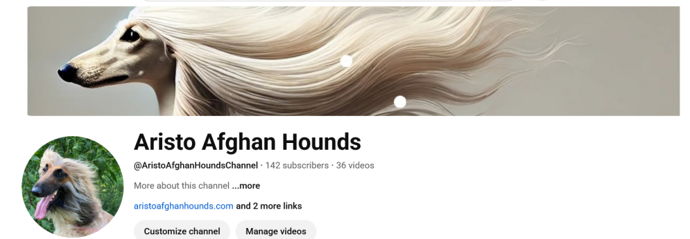 Aristo Afghan Hounds You Tube Channel